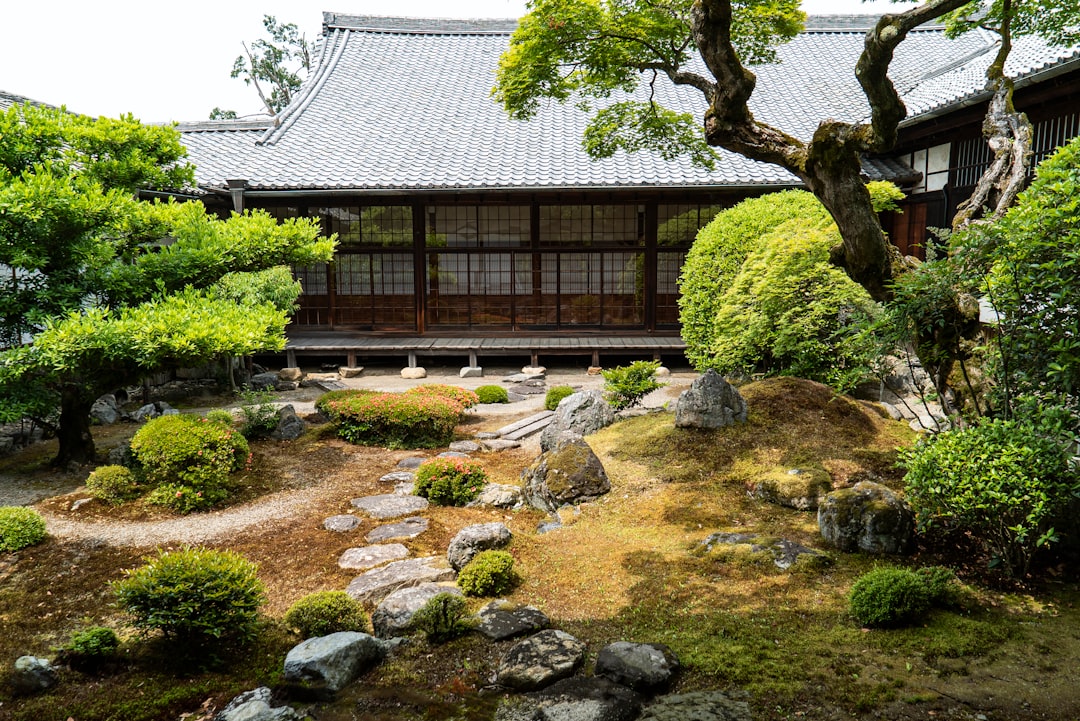 実家の庭と庭木のイメージ
